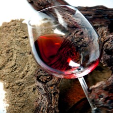 Landweine Formentera - Balearen - Agrarnahrungsmittel, Ursprungsbezeichnungen und balearische Gastronomie